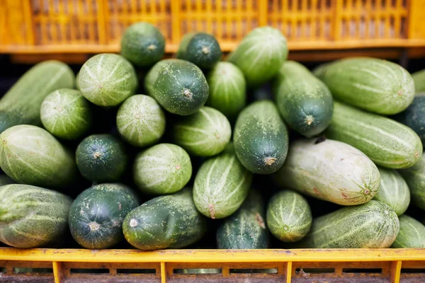 有选择地关注黄瓜 市集档位售卖新鲜生菜 — 图库照片
