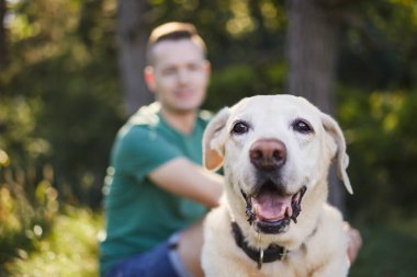 Arka planda evcil sahibi olan sevimli köpeğe odaklan. İnsanlar ve Labrador av köpekleri güneşli yaz gününde dinleniyorlar.