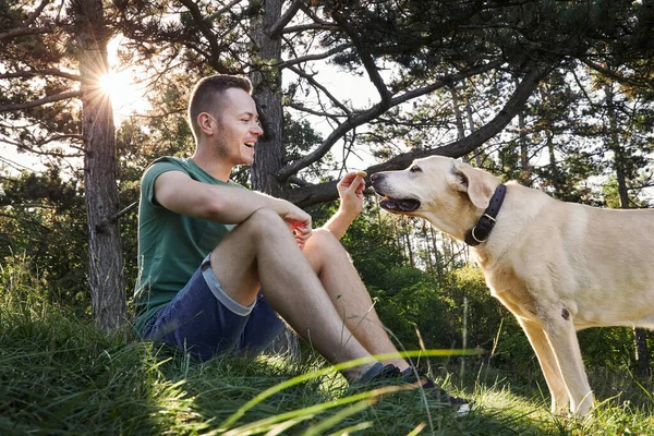Man His Dog Sitting Grass Tree Sunny Summer Day Pet —  Fotos de Stock