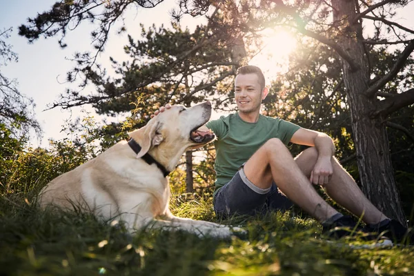 Man His Dog Sitting Grass Tree Pet Owner Stroking His —  Fotos de Stock