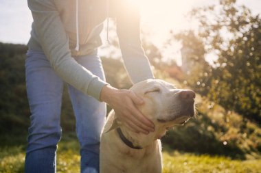 Adam eski köpeğini okşuyor. Mutlu köpek, evcil hayvanıyla güneşli sonbahar gününün tadını çıkarıyor.