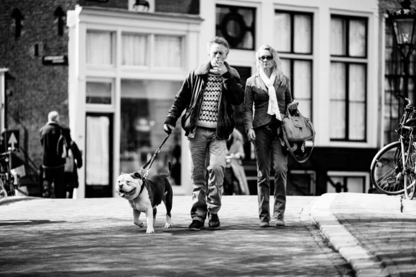 Par gå med en hund på gatorna i amsterdam — Stockfoto