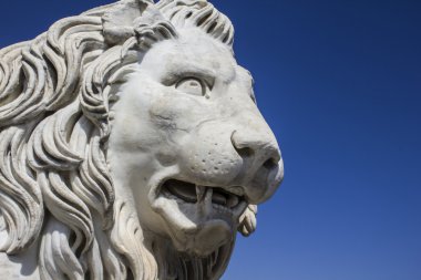 Mermer aslan