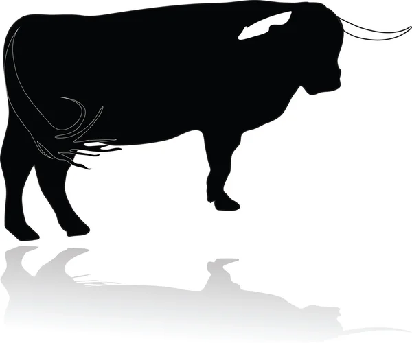 Ox bulls — Stock Vector
