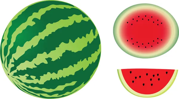 Wassermelone und Scheibe — Stockvektor