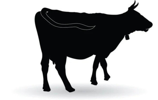 Silhouette of cows — Stock Vector