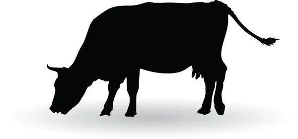 Silhouette of cows — Stock Vector