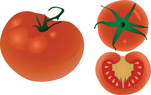 Tomates — Image vectorielle