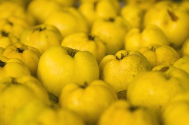 masaya dizilmiş çekilen Ayva