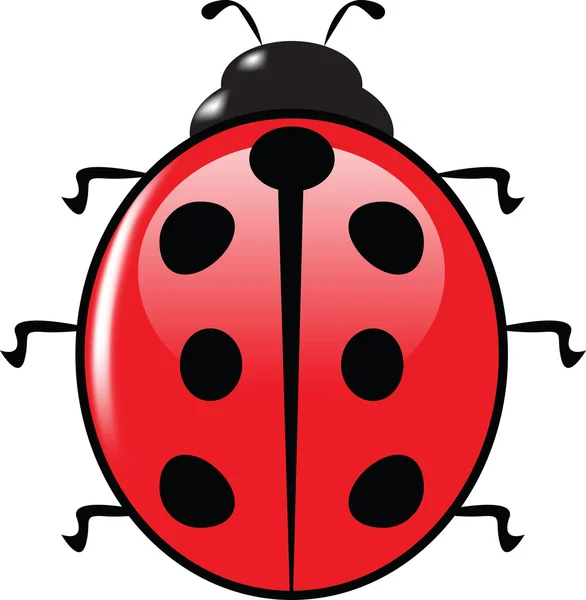 Ladybird — Stockový vektor