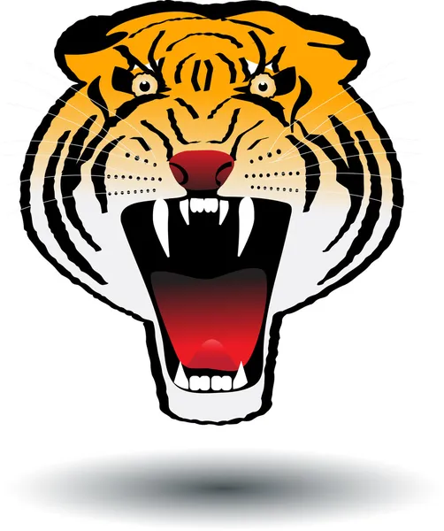 Tiger anger — Stock Vector