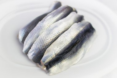 ham dört tane ringa balığı ile plaka