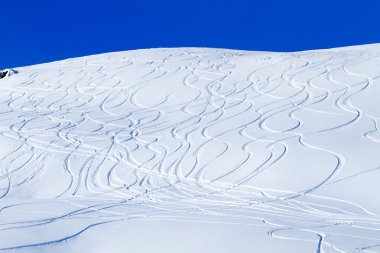 лижний треків на стороні гори snowcovered