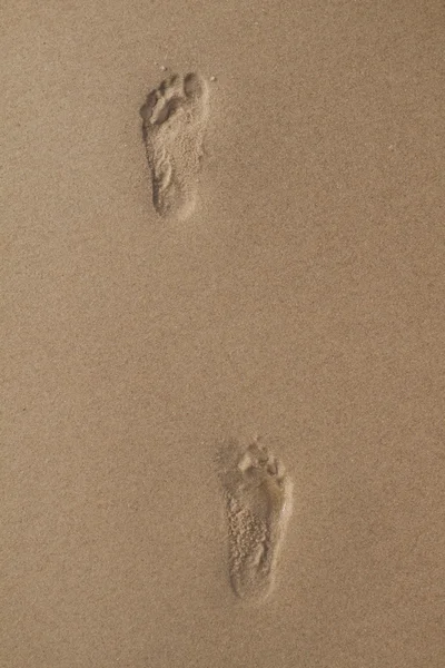 Zwei menschliche Fußabdrücke im nassen Sand — Stockfoto