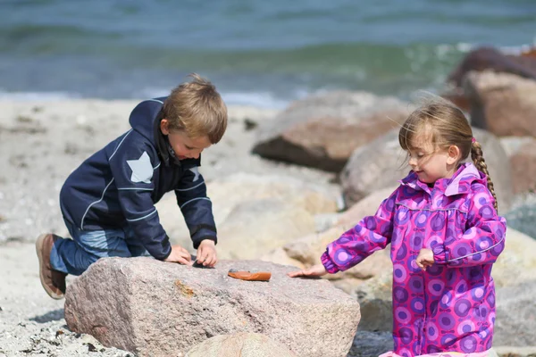 Twee kinderen verzamelen strand kiezelsteen — Stockfoto