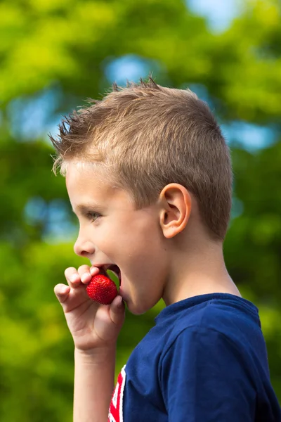 Chłopiec jeść truskawki — Zdjęcie stockowe