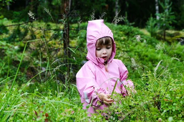 Flicka som äter blåbär — Stockfoto