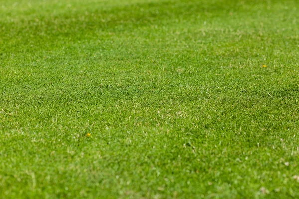 Campo de futebol — Fotografia de Stock