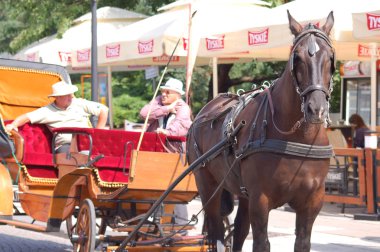 el arabası çekerek at