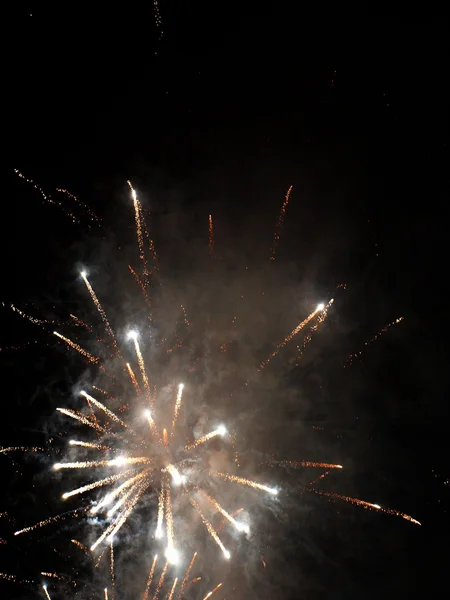 Feuerwerk — Stockfoto