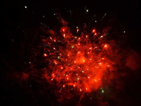 Feu d'artifice — Photo