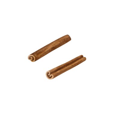 Kurutulmuş tarçın çubukları beyaz arka planda izole edilir. Suluboya çizimi. El çizimi Clipart.