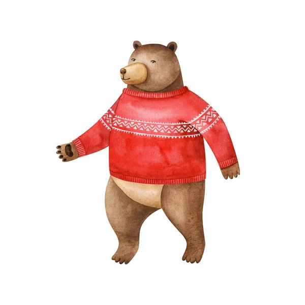 Urso Castanho Aquarela Camisola Natal Vermelho Isolado Fundo Branco Ilustração — Fotografia de Stock