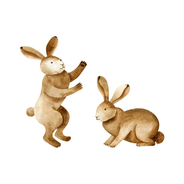 Coelhos Estilizados Aquarela Isolados Fundo Branco Personagens Floresta Clipart Desenhado — Fotografia de Stock