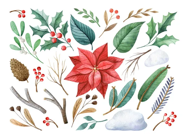Рождественский Цветочный Набор Акварельная Иллюстрация Пуансетцией Омелой Еловыми Ветвями Остролистом — стоковое фото