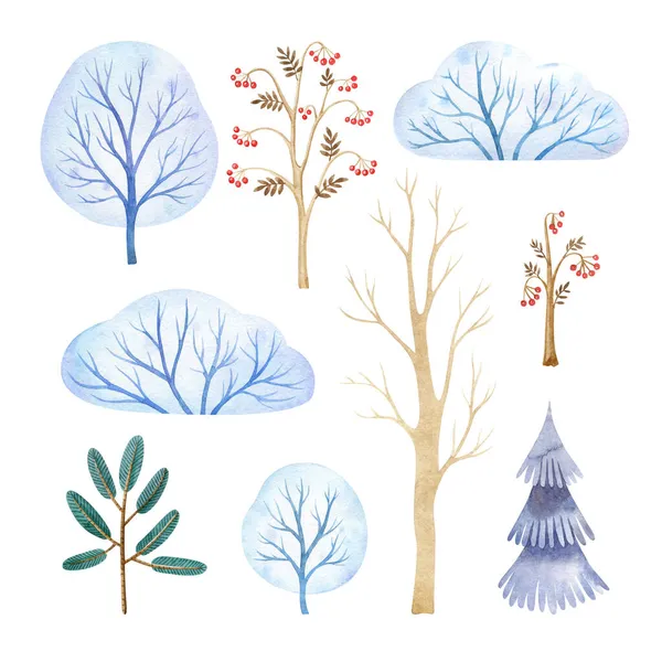 様式化された木と水彩セット 霜の木や茂み モミの木 白地に隔離された裸の葉の木 漫画の手のクリップを描いた 保育園イラスト — ストック写真