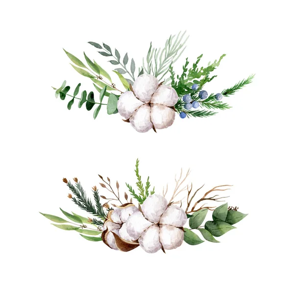 Winter flora. A set of evergreen branches. Thuja, yew, juniper, fir, cedar,  pine, and spruce. 15280420 Vector Art at Vecteezy