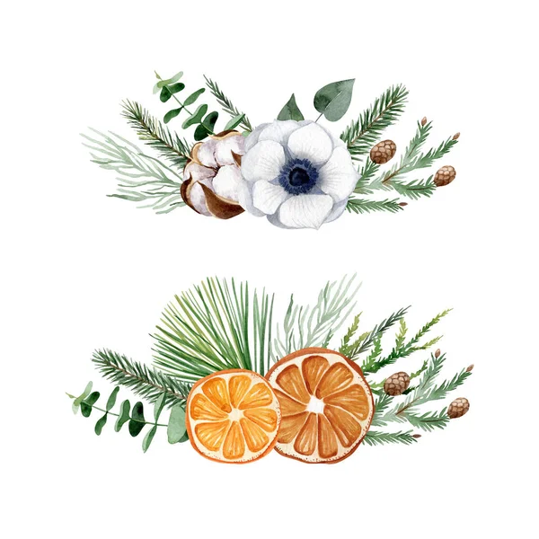 水彩画圣诞套装 花卉构图为简约的斯堪的纳维亚风格 手绘桉树 干橙子 贺卡绿叶 — 图库照片