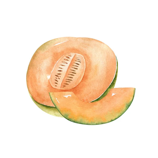 Mitad Rebanada Melones Japoneses Melón Anaranjado Melón Con Semillas Aisladas — Foto de Stock