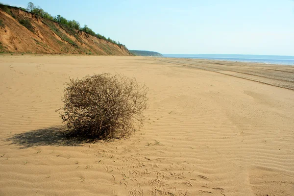 Poušť — Stock fotografie