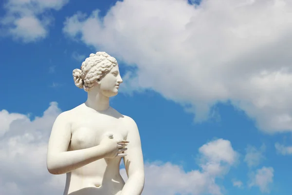 3D ekip çalışması holding mavi ağırlıkları