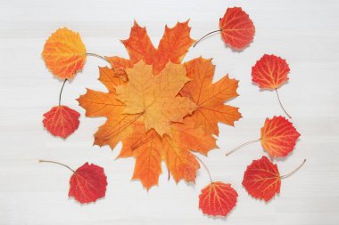Beyaz ahşap zemin üzerinde sonbahar yaprakları