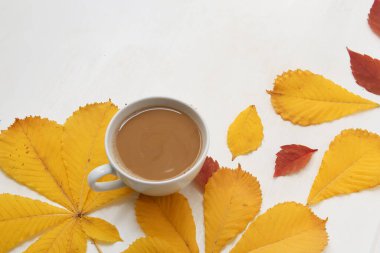 sonbahar yapraklı kahve.