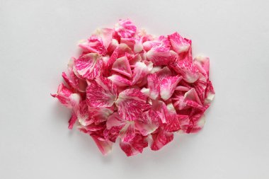 Bir sürü pembe gül yaprağı var.