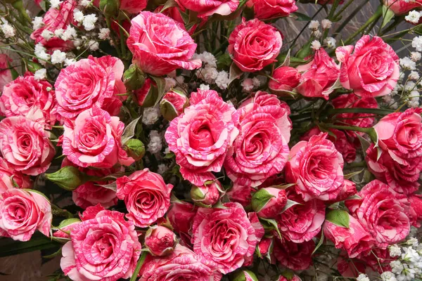 背景のピンクのバラの花束 — ストック写真