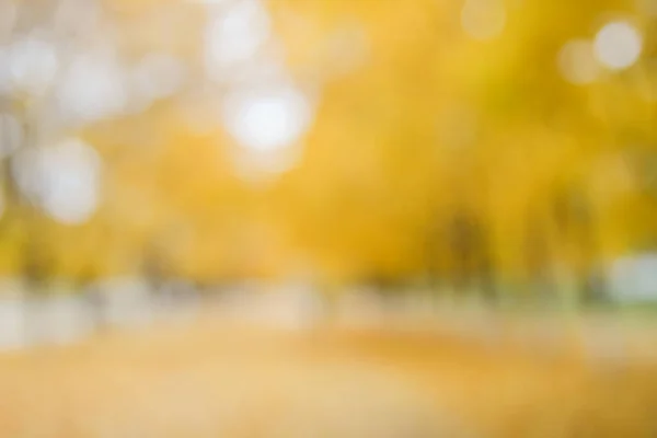 Осіння Алея Жовтих Дерев Розмитий Фон — стокове фото