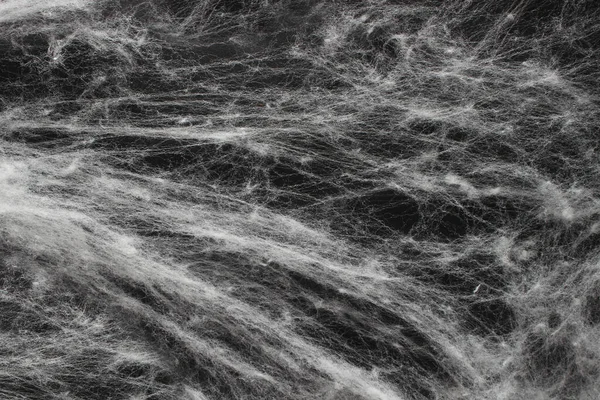 Siyah Arka Plan Üzerine Beyaz Örümcek Ağı — Stok fotoğraf
