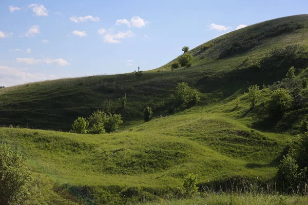 Paisaje Colinas Hierba Con Cielo — Foto de Stock