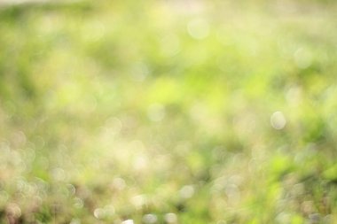 soyut arkaplan çimen bokeh bulanıklığı