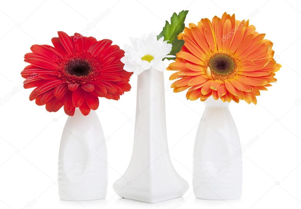 Three daisy flowers in three white vases