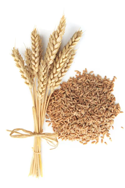 Tahıl — Stok fotoğraf