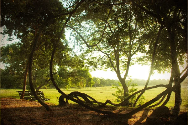 Bellissimo paesaggio sullo sfondo grunge — Foto Stock