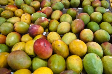 Mango