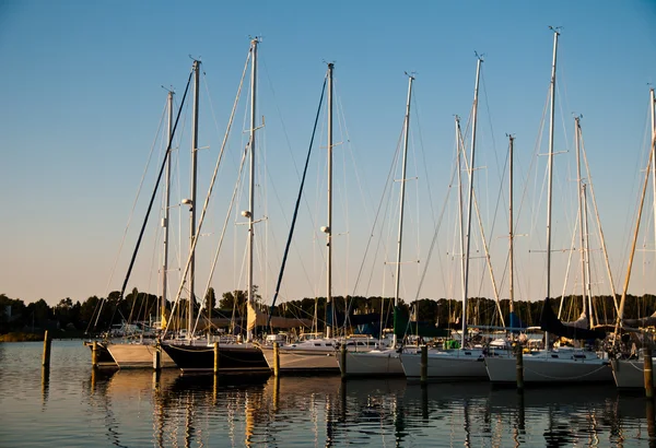 Boats in the harbour — Stock Photo, Image