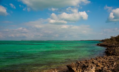 kayalık sahil şeridi