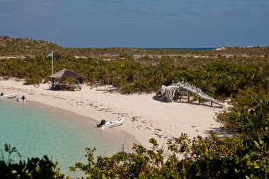 warderick kuyu Bahamalar